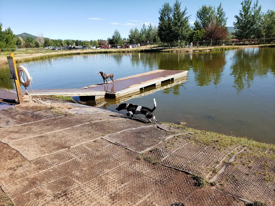 Willow Creek Dog Park